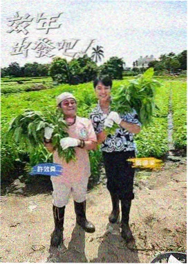 山楂树之恋电影完整版取景地现状记录